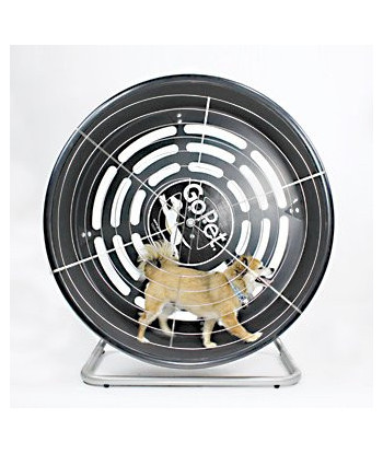 GoPet TreadWheel For Small Dogs