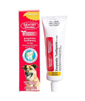 Petrodex Enzymatic Toothpaste for Dogs & Cats - Poultry Flavor - 6.2 oz