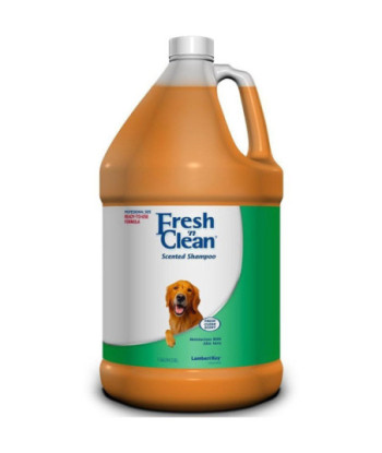 Fresh 'n Clean Scented Shampoo with Protein - Fresh Clean Scent - 1 Gallon