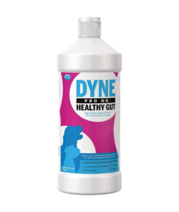 PetAg Dyne PRO HG Healthy Gut Supplement for Dogs - 32 oz