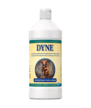 Pet Ag Dyne High Calorie Liquid Nutritional Supplement for Dogs and Puppies - 16 oz