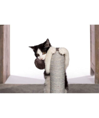 Prevue Pet Products Kitty Power Paws Play & Scratch