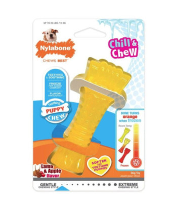Nylabone Puppy Chew Color Changing Chill N Chew Bone - Mini Souper - 1 count