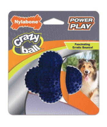 Nylabone Power Play Crazy Ball Dog Toy Large - 1 count