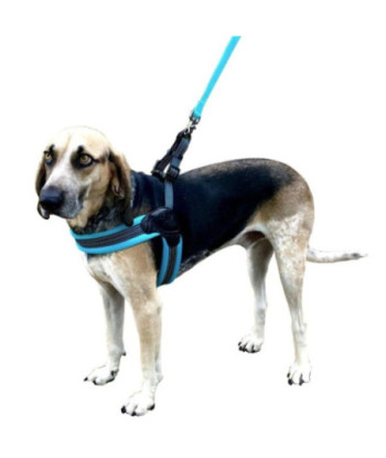Sporn Easy Fit Dog Harness Blue - Small 1 count