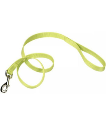 Coastal Pet Single-Ply Nylon Dog Leash Lime Green - 4 feet x 3/8in. W