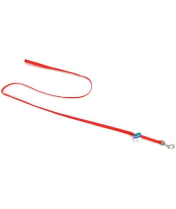 Coastal Pet Nylon Lead - Red - 4' Long x 3/8in.  Wide