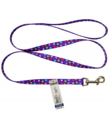 Pet Attire Styles Nylon Dog Leash - Special Paw - 4' Long x 5/8in.  Wide