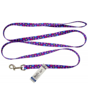 Pet Attire Styles Nylon Dog Leash - Special Paw - 6' Long x 5/8in.  Wide